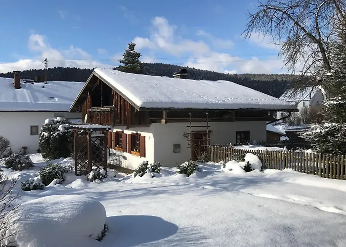 Prázdninový dům Bayerwaldhaus - Tradition Trifft Moderne